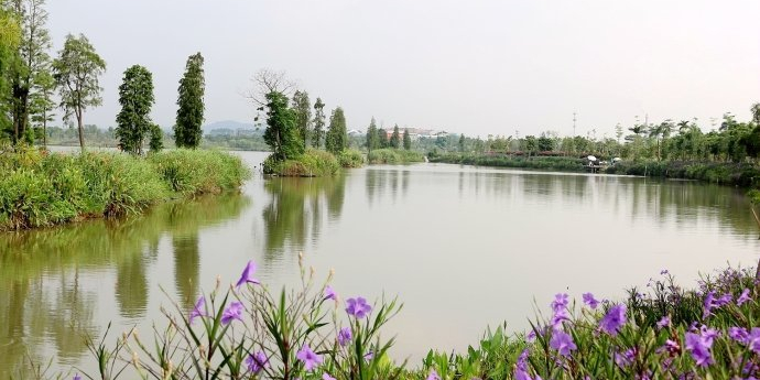 云蒙湖石龙湾湿地