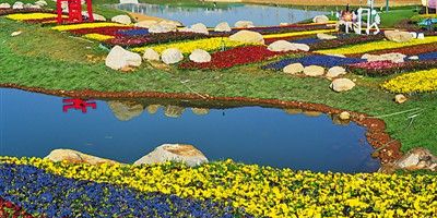 腾冲市荷花湾花海景区