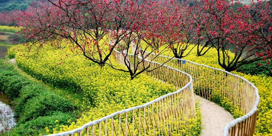 桃花湾风景廊道生态\游区