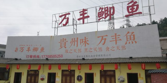 万丰鲫鱼