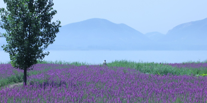 白庄子村湿地公园