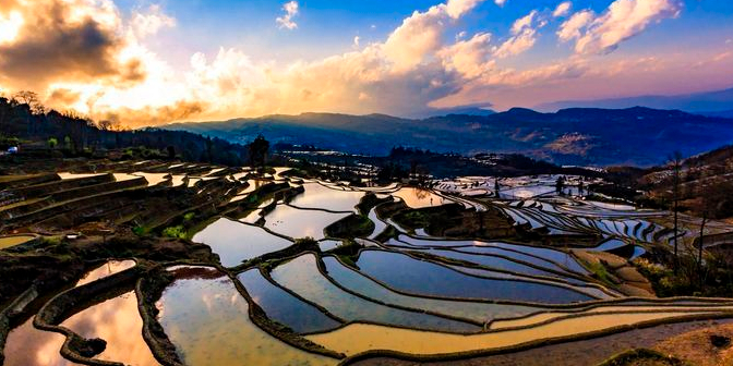 箐口梯田风景