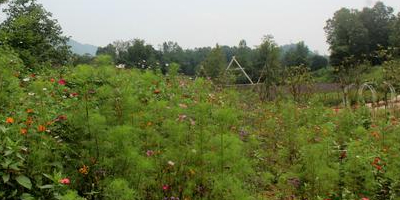 定军山影视基地