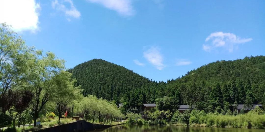 白马山森林公园