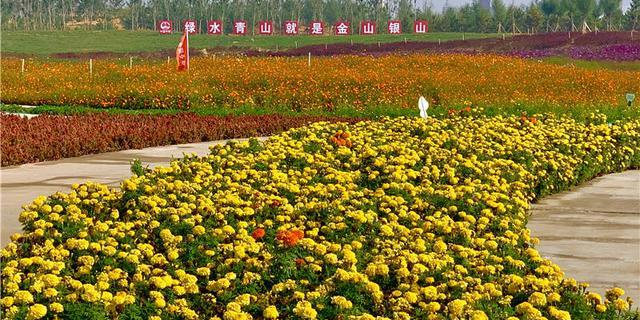 唐山花海(中区)