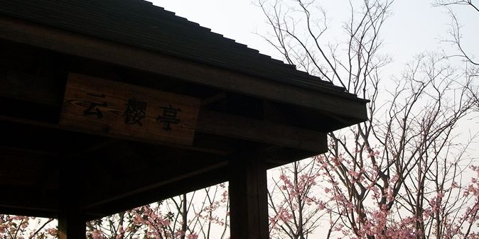 云樱亭
