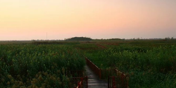 洪湖湿地公园