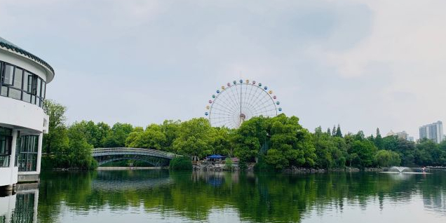 欢乐导(杏花公园店)