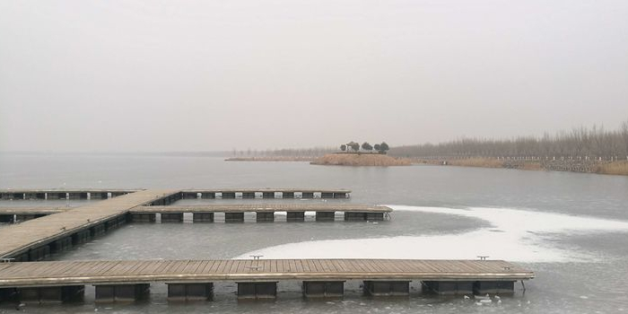 巨野县新巨龙地公园公园