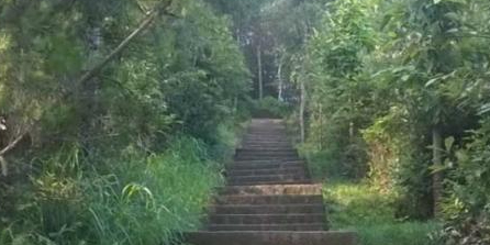 东阳南山休闲森林健康主题公园
