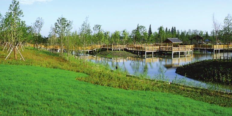 苏州市吴江区平望莺脰湖生态公园