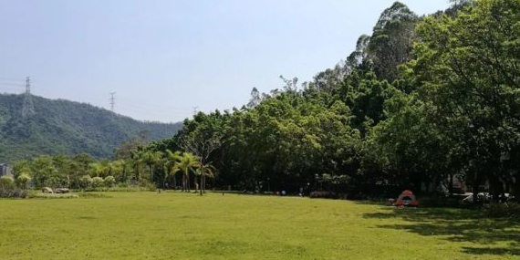 地址(位置,怎么去,怎么走):  深圳市罗湖区环湖三路相思林公园