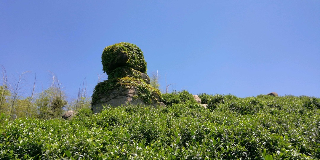 安徽省宣城市广德市卢村乡石狮村