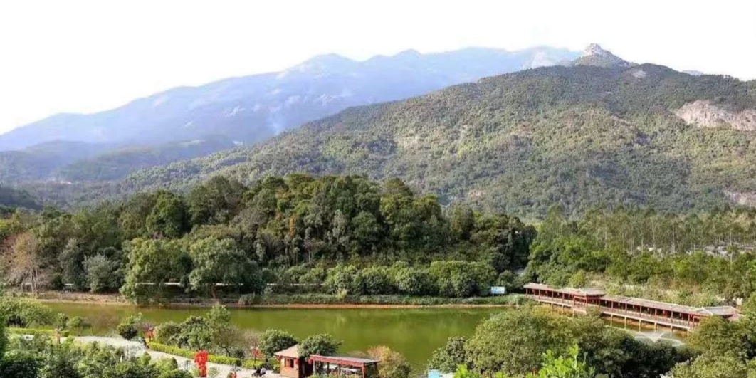 清水湖