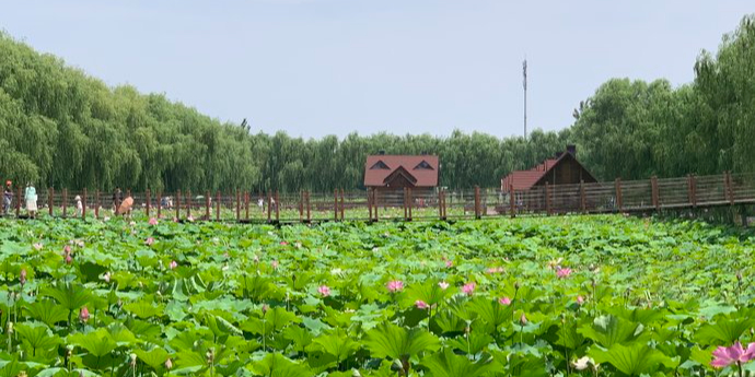 洛阳市孟津区会盟镇李庄村