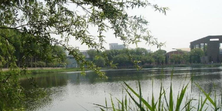天津大学-青年湖