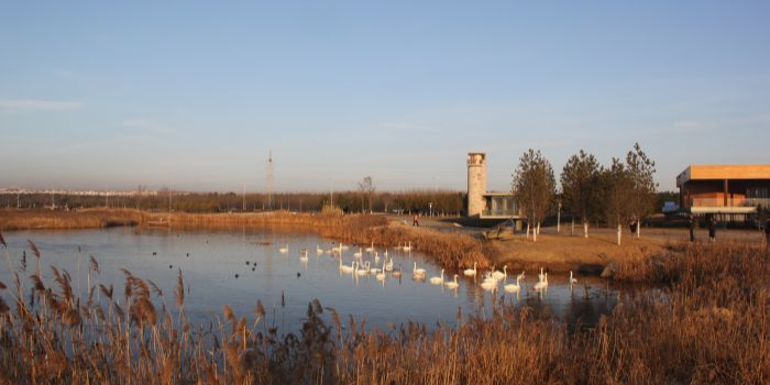 威海市荣成市成山镇天鹅湖路