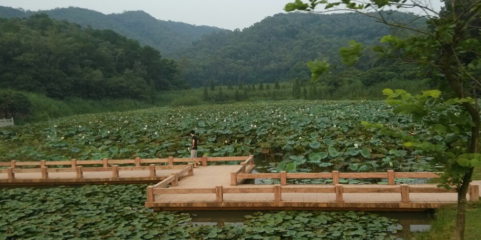 十里荷塘景区