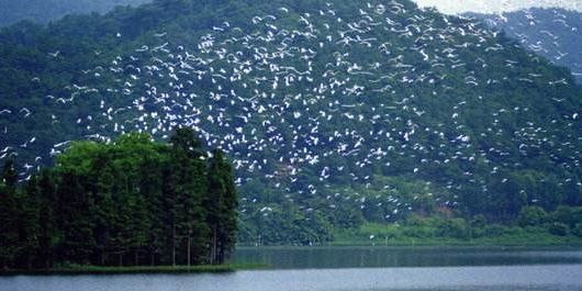 白鹭湖生态保护区