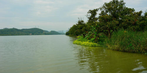 湖心岛