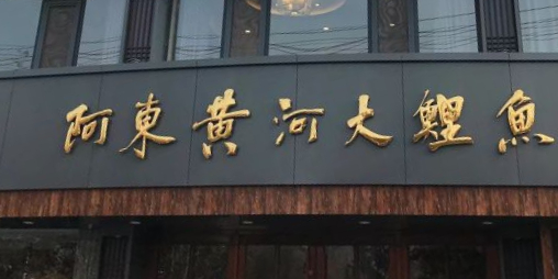 阿东黄河大鲤鱼