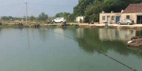 白鹤山钓鱼场