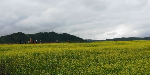 则岔风景区