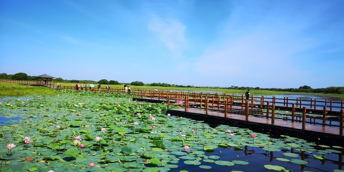 浙江秀山岛旅游景点图片