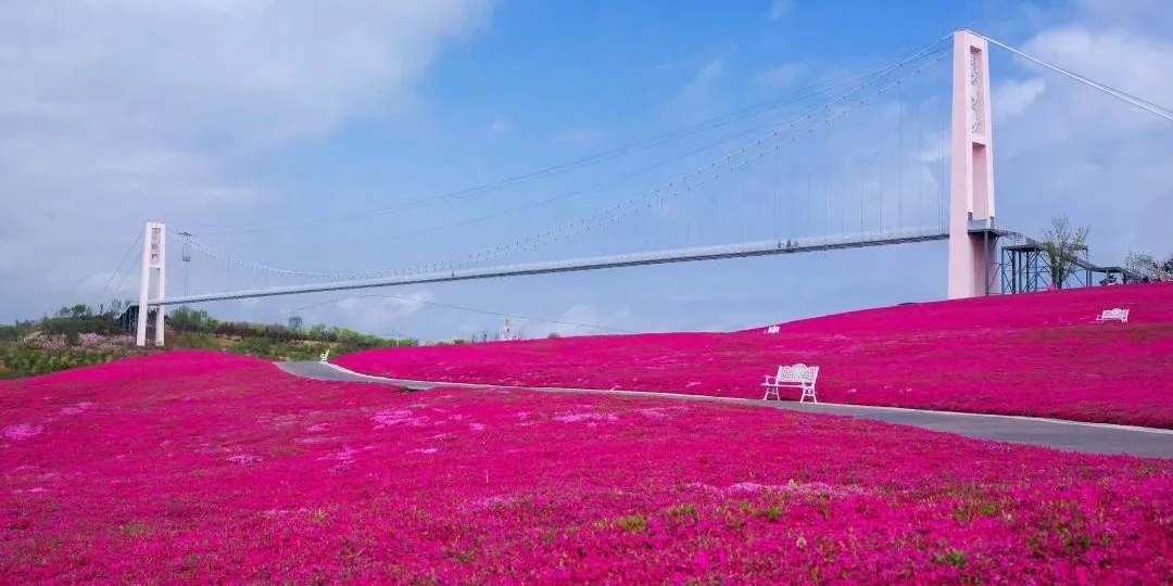 日照阙上田园景区