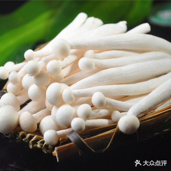 北家姓转转小活过(北环路店)
