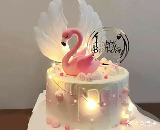 芝士乐园