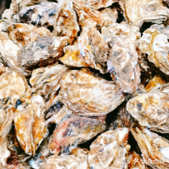 丰盈园火锅大骨头自助(泉园总店)