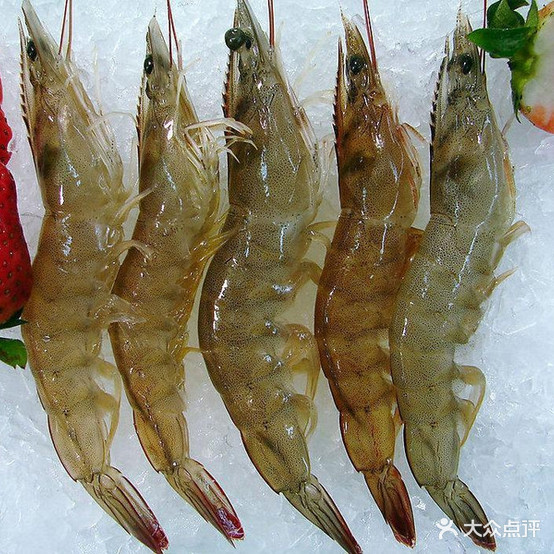 恒兴嗨鲜
