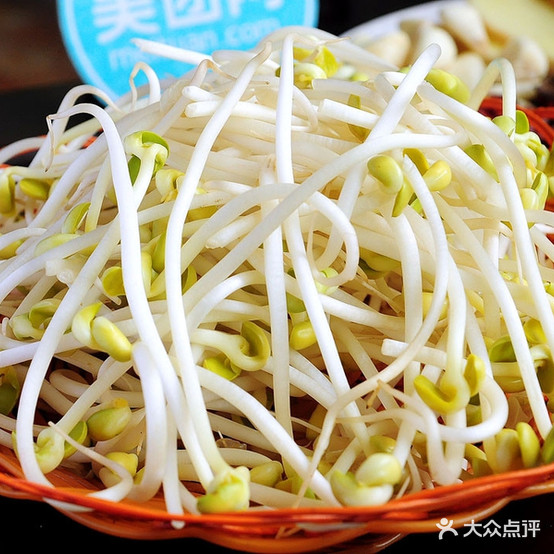俞小杨砂锅