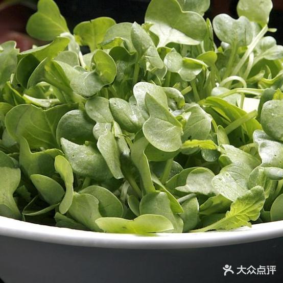 川蜀汉冒菜(贵定店)