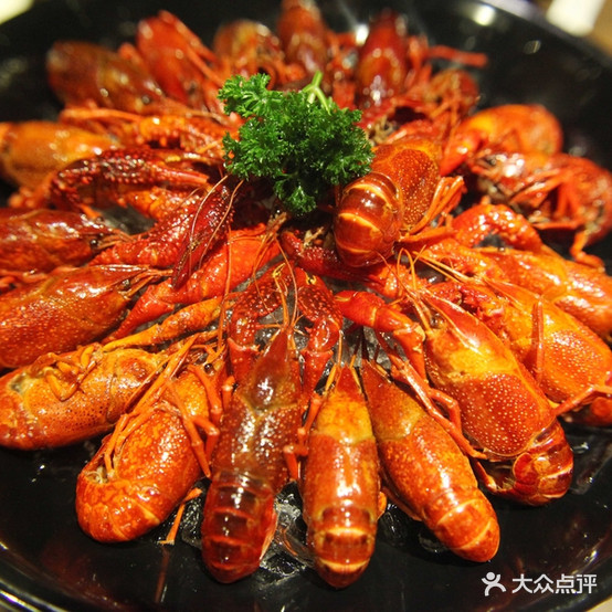 宴龙会