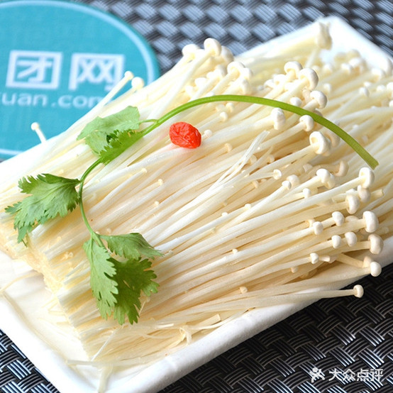 杨记重庆鸡公煲