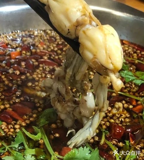 至美味蛙鱼头火锅(中南路店)