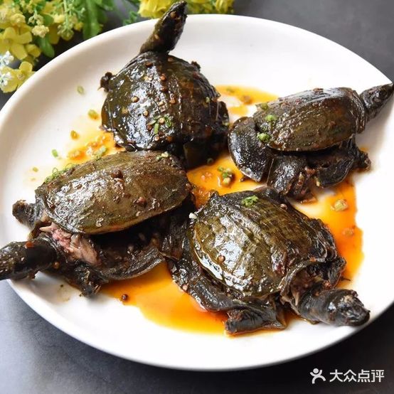 独位轩东楚吊锅王