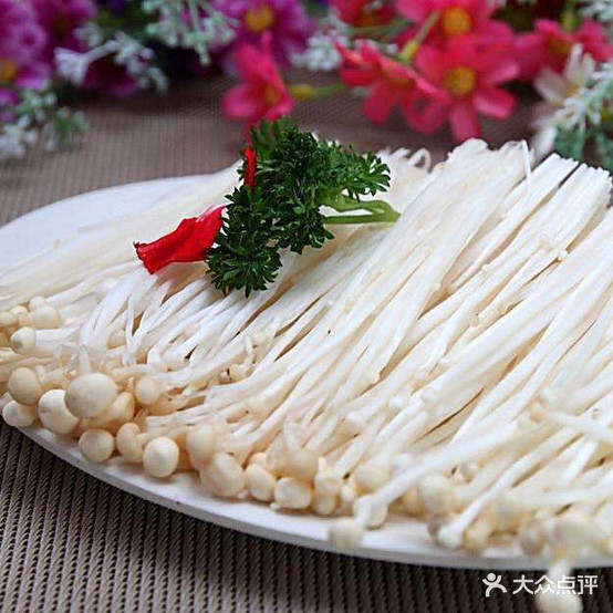 青春火灶台(绿地店)