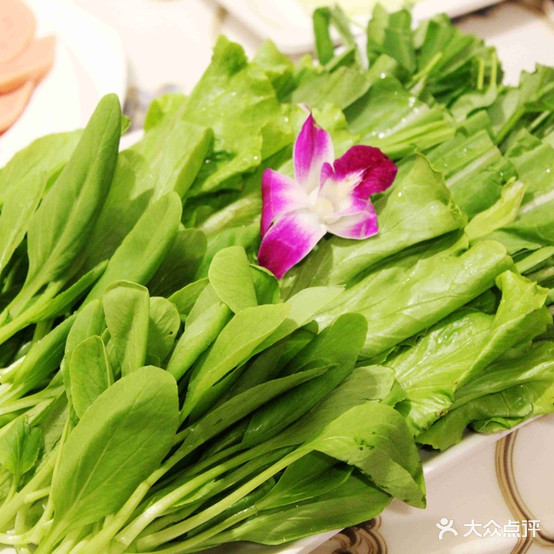 蜀烩萺菜(六安吾悦广场店)