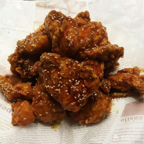 嘟嘟韩试手工炸鸡(崔庄花园社区店)