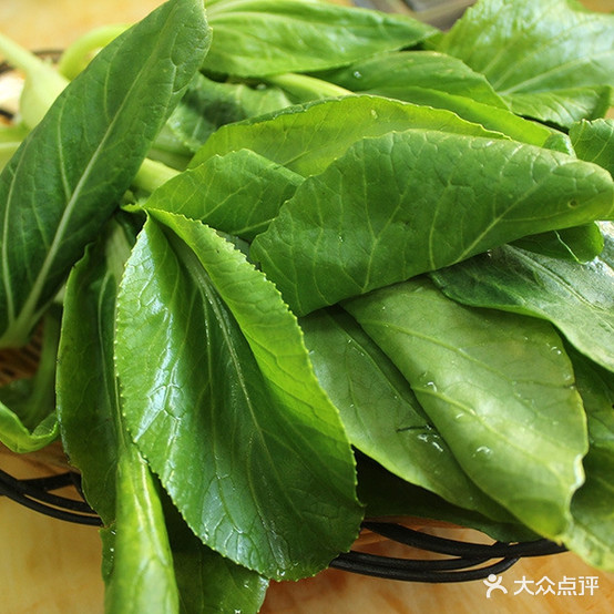 沧州火锅鸡·鸡煲(学府花园店)