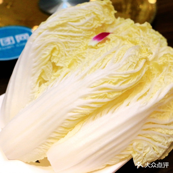 美蛙鱼头