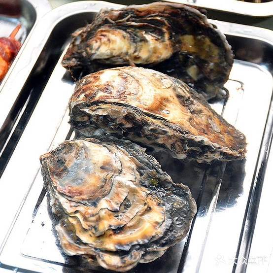 蚝友缘