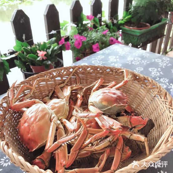 蟹岛渔家·阳澄湖一线湖湖景农家乐·大闸蟹(莲花岛)