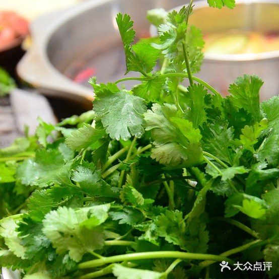 鸡头巴脑锅(龙海路店)