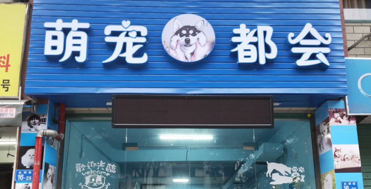 萌宠都会宠物店