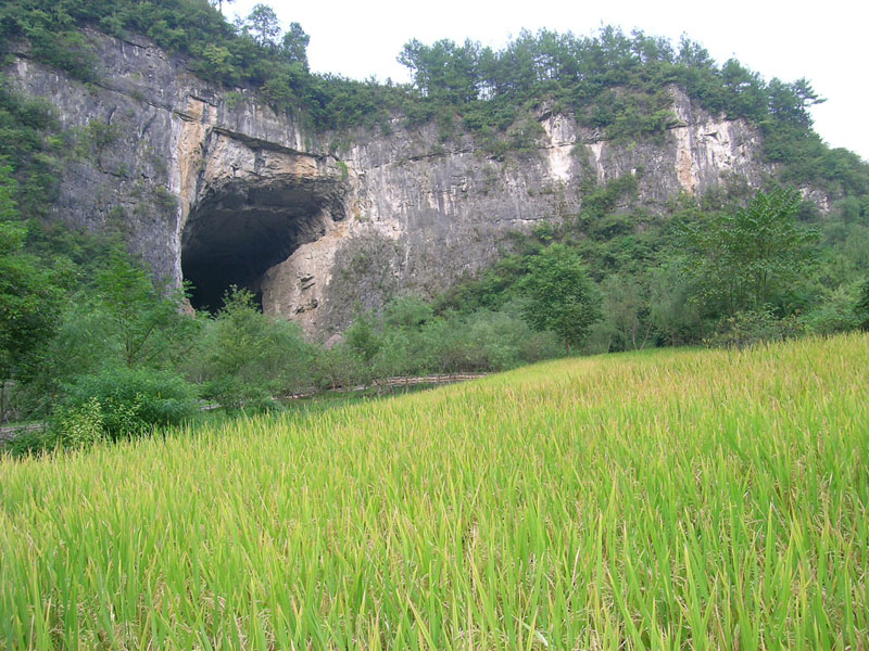 大酉洞