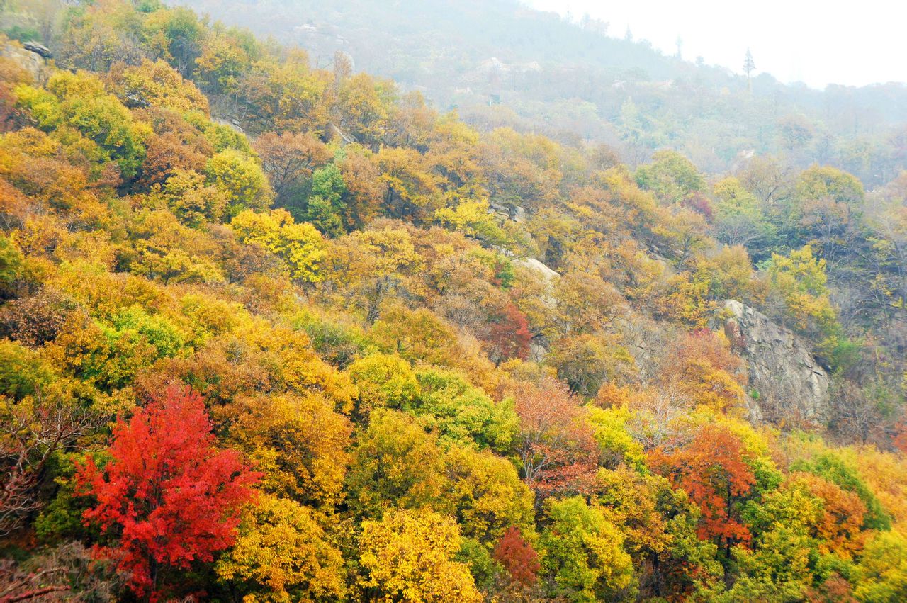 宿城风景区
